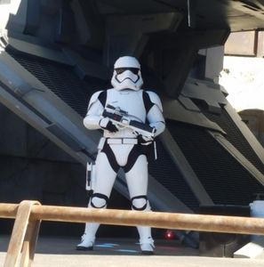 Meet your Posher, Nelly